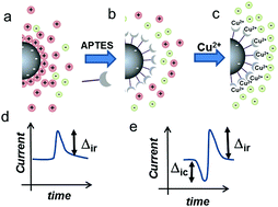 Graphical abstract: A tunable nanopore sensor for the detection of metal ions using translocation velocity and biphasic pulses