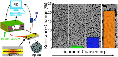 Graphical abstract: In situ electrical modulation and monitoring of nanoporous gold morphology