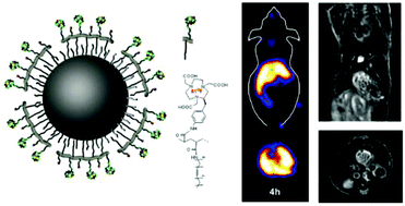 Graphical abstract: Robust surface coating for a fast, facile fluorine-18 labeling of iron oxide nanoparticles for PET/MR dual-modality imaging