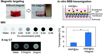 Graphical abstract: Development of magneto-plasmonic nanoparticles for multimodal image-guided therapy to the brain