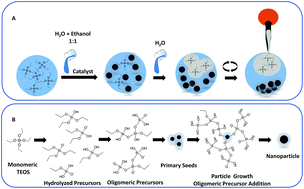 Graphical abstract: Fast nucleation for silica nanoparticle synthesis using a sol–gel method