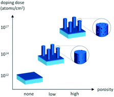 Graphical abstract: Highly doped silicon nanowires by monolayer doping