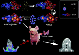Graphical abstract: Novel iodinated gold nanoclusters for precise diagnosis of thyroid cancer
