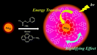 Graphical abstract: Enhanced luminescence of Au22(SG)18 nanoclusters via rational surface engineering