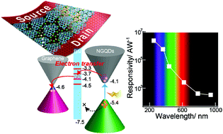 Graphical abstract: Graphene/nitrogen-functionalized graphene quantum dot hybrid broadband photodetectors with a buffer layer of boron nitride nanosheets