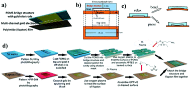 Graphical abstract: Digital microelectromechanical sensor with an engineered polydimethylsiloxane (PDMS) bridge structure