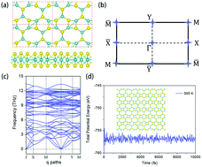 Graphical abstract: Topological insulating states in 2D transition metal dichalcogenides induced by defects and strain