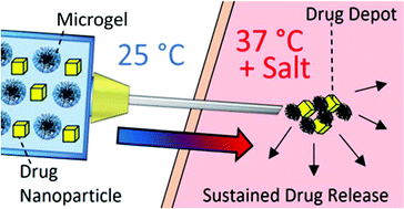 Graphical abstract: Dual-stimuli responsive injectable microgel/solid drug nanoparticle nanocomposites for release of poorly soluble drugs