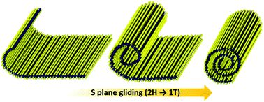 Graphical abstract: Highly thermal-stable paramagnetism by rolling up MoS2 nanosheets