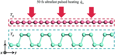 Graphical abstract: Interlayer thermal conductance within a phosphorene and graphene bilayer