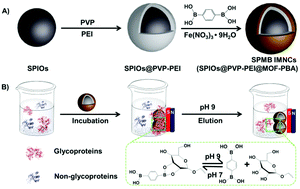 Graphical abstract: pH-Responsive magnetic metal–organic framework nanocomposites for selective capture and release of glycoproteins