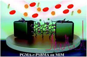 Graphical abstract: An anti-fouling nanoplasmonic SERS substrate for trapping and releasing a cationic fluorescent tag from human blood solution