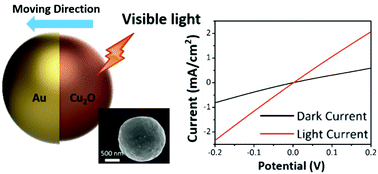 Graphical abstract: Visible-light controlled catalytic Cu2O–Au micromotors