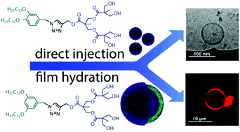 Graphical abstract: Modular synthesis of self-assembling Janus-dendrimers and facile preparation of drug-loaded dendrimersomes