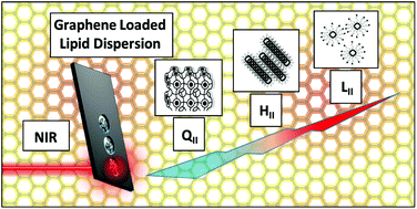 Graphical abstract: Graphene as a photothermal actuator for control of lipid mesophase structure