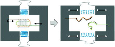 Graphical abstract: The collective behavior of spring-like motifs tethered to a DNA origami nanostructure