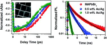 Graphical abstract: Ultrafast carrier dynamics in bimetallic nanostructure-enhanced methylammonium lead bromide perovskites