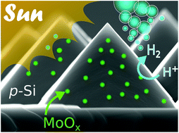 Graphical abstract: Spontaneous decoration of silicon surfaces with MoOx nanoparticles for the sunlight-assisted hydrogen evolution reaction