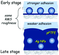 Graphical abstract: RMS roughness-independent tuning of surface wettability by tailoring silver nanoparticles with a fluorocarbon plasma polymer