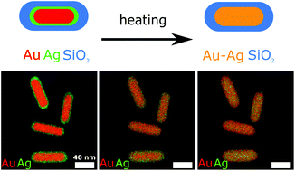 Graphical abstract: Fully alloyed metal nanorods with highly tunable properties