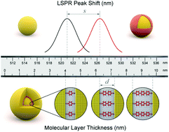 Graphical abstract: Quantifying the reflective index of nanometer-thick thiolated molecular layers on nanoparticles