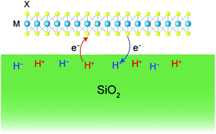 Graphical abstract: An origin of unintentional doping in transition metal dichalcogenides: the role of hydrogen impurities