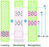 Graphical abstract: Hierarchically structured photonic crystals for integrated chemical separation and colorimetric detection