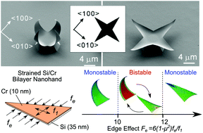 Graphical abstract: Edge effect of strained bilayer nanofilms for tunable multistability and actuation
