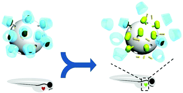 Graphical abstract: Responsive mesoporous silica nanoparticles for sensing of hydrogen peroxide and simultaneous treatment toward heart failure