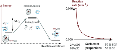 Graphical abstract: Controlling the kinetics of the non-covalent functionalization of carbon nanotubes using sub-cmc dilutions in a co-surfactant environment