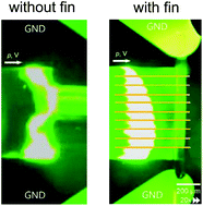 Graphical abstract: Stabilization of ion concentration polarization layer using micro fin structure for high-throughput applications