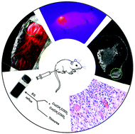 Graphical abstract: CuCo2S4 nanocrystals: a new platform for multimodal imaging guided photothermal therapy