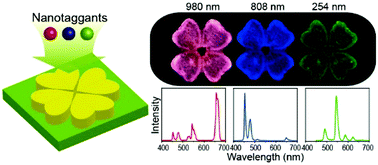 Graphical abstract: Anti-counterfeiting patterns encrypted with multi-mode luminescent nanotaggants