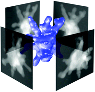 Graphical abstract: A closer look at the physical and optical properties of gold nanostars: an experimental and computational study