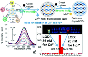 Graphical abstract: Mn-Doped ZnSe quantum dots initiated mild and rapid cation exchange for tailoring the composition and optical properties of colloid nanocrystals: novel template, new applications