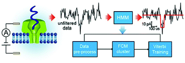 Graphical abstract: High-bandwidth nanopore data analysis by using a modified hidden Markov model