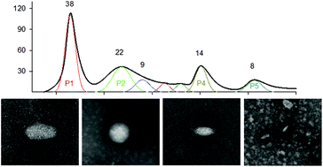 Graphical abstract: Intrinsic functional and architectonic heterogeneity of tumor-targeted protein nanoparticles