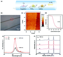 Graphical abstract: Large-area tungsten disulfide for ultrafast photonics