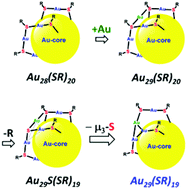 Graphical abstract: A ten-electron (10e) thiolate-protected Au29(SR)19 cluster: structure prediction and a ‘gold-atom insertion, thiolate-group elimination’ mechanism