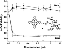 Graphical abstract: Phthalocyanine-cRGD conjugate: synthesis, photophysical properties and in vitro biological activity for targeting photodynamic therapy