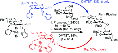 Graphical abstract: 2,3-Di-O-picolinyl building blocks as glycosyl donors with switchable stereoselectivity