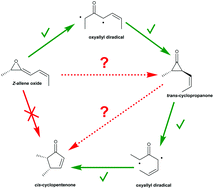 Graphical abstract: Investigation into 9(S)-HPODE-derived allene oxide to cyclopentenone cyclization mechanism via diradical oxyallyl intermediates