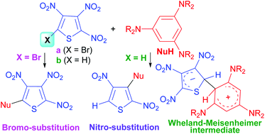 Graphical abstract: C–C coupling between trinitrothiophenes and triaminobenzenes: zwitterionic intermediates and new all-conjugated structures