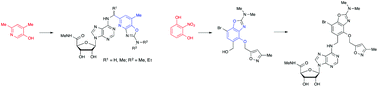 Graphical abstract: The synthesis of a series of adenosine A3 receptor agonists