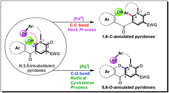 Graphical abstract: Competitive intramolecular C–C vs. C–O bond coupling reactions toward C6 ring-fused 2-pyridone synthesis
