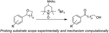 Graphical abstract: A combined computational and experimental investigation of the oxidative ring-opening of cyclic ethers by oxoammonium cations