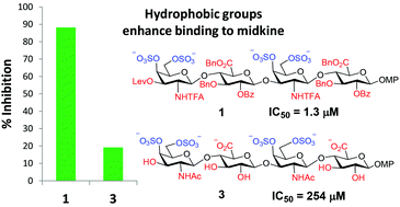 Graphical abstract: Improvement on binding of chondroitin sulfate derivatives to midkine by increasing hydrophobicity