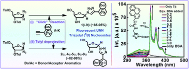 Graphical abstract: Donor/acceptor chromophores-decorated triazolyl unnatural nucleosides: synthesis, photophysical properties and study of interaction with BSA