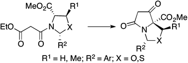 Graphical abstract: Chemoselectivity and stereoselectivity of cyclisation pathways leading to bicyclic tetramates controlled by ring-chain tautomerisation in thiazolidines