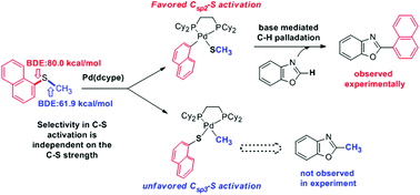 Graphical abstract: Density functional theory investigation on Pd-catalyzed cross-coupling of azoles with aryl thioethers